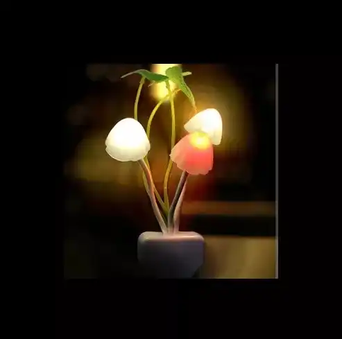 Mushroom Ligh
