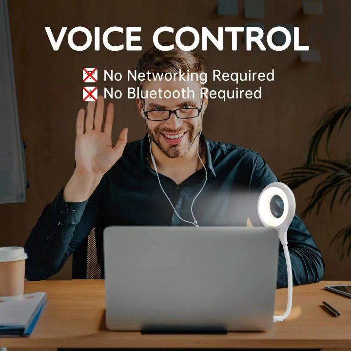 Amazing voice control reading light with usb 4