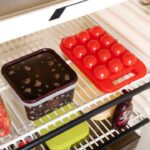 Egg Holder Storage tray with handle 2