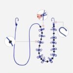 KIN Drying Rope with 12 Clips & 2 Hooks Portable Clothesline Rope Nylon (1.8 m)