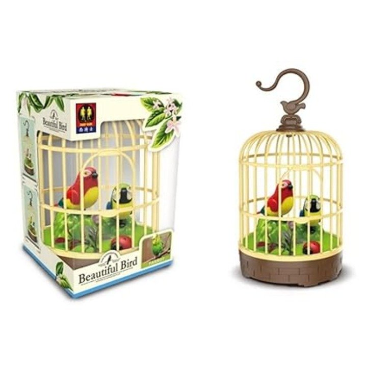 Beautiful Bird rate 499
