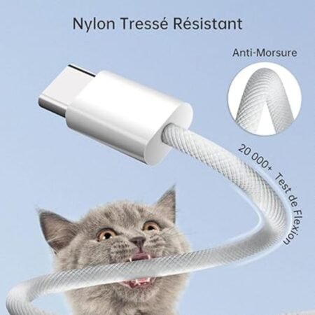 Kin C Type Power bank charging cable.